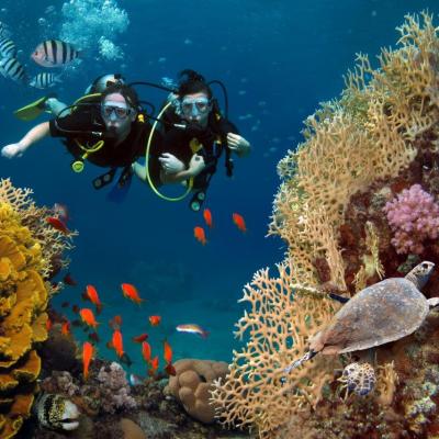 Scuba Diving Shutterstock 1645512889